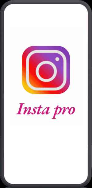 InstaPro Media Downloader and Translation Features
